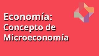 Concepto de Microeconomía [upl. by Duncan311]