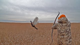 Pheasant Hunt with Traditional Bow  16 SLOWMO SHOTS amp THE GREATEST MISSES in Bowhunting ONE HIT [upl. by Higginbotham]