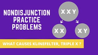 NONDISJUNCTION PRACTICE PROBLEMS KLINEFELTER SYNDROME TRIPLE X SYNDROME [upl. by Dranyl]