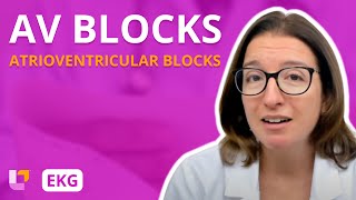 Atrioventricular Blocks AV Blocks  EKG Interpretation  LevelUpRN [upl. by Taran207]