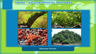 India – Geographical Features – Types of Natural Vegetation class8 [upl. by Khorma]