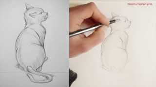 Tuto  Comment dessiner un chat Episode 1 par Léo Dessin [upl. by Telfer]