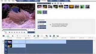 Ulead VideoStudio  Overlays Basics Tutorials [upl. by Yajet]