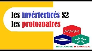 biologie animale S2 introduction  البيولوجيا بالدارجة [upl. by Arsi]