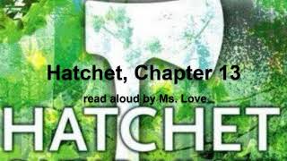 Hatchet by Gary Paulsen Chapter 13 [upl. by Ange]