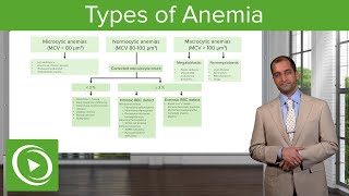 Anemia Microcytic Normocytic amp Macrocytic Type – Hematology  Lecturio [upl. by Penhall]