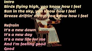 Chloe  Feeling Good Lyrics [upl. by Remark]