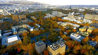 Autumn Scenery at Hokkaido University [upl. by Kate]