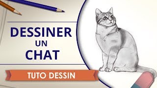 Dessiner un Chat  Tuto Dessin [upl. by Isis]