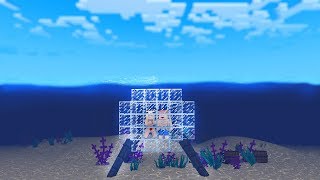 WIR BAUEN UNSER NEUES ZUHAUSE UNTER WASSER [upl. by Acassej271]