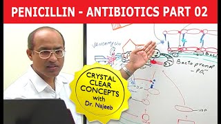 Penicillin  Antibiotics  Dr Najeeb  Part 24 [upl. by Lenora]