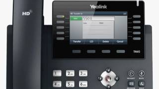 T46G Desktop IP Phone  Call Transfer [upl. by Tennaj]