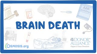 Donor Alliance  Brain Death [upl. by Hitchcock]