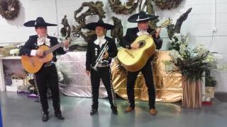 Mexican Mariachi Band For Hire  Mariachi Kings  Guantanamera [upl. by Carleen]