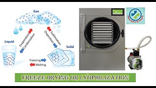 Freeze drying or Lyophilization in depth [upl. by Eriuqs]