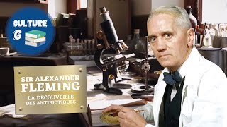 Alexander Fleming la révolution des antibiotiques [upl. by Dnalro416]