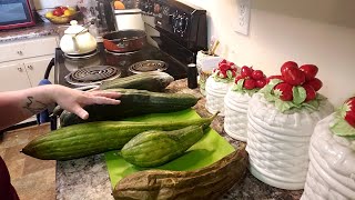 How to process a LUFFA GOURD From green gourd to clean sponge [upl. by Yxel]