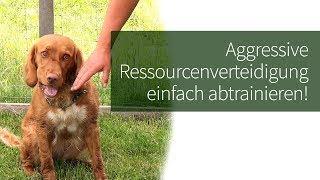 Ressourcenverteidigung Hund ► Aggressive Ressourcenverteidigung einfach abtrainieren [upl. by Cosma]