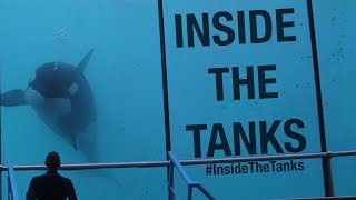 Inside The Tanks Full Documentary [upl. by Prichard]