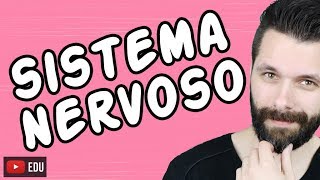 SISTEMA NERVOSO  FISIOLOGIA  Aula  Biologia com Samuel Cunha [upl. by Tedda328]