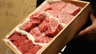 Japanese Wagyu amp Horumon Yakiniku Restaurant Experience [upl. by Eselehs]