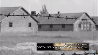 Amintiri din infern Auschwitz 76 TVRi [upl. by Patin]