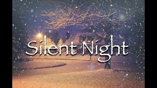 Silent Night  Instrumental [upl. by Woolcott586]