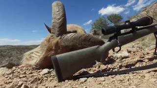 Leupold VX6 RiflescopeVideo Review [upl. by Naaitsirhc]