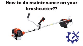 Basic brushcutter maintenance [upl. by Thirzia]