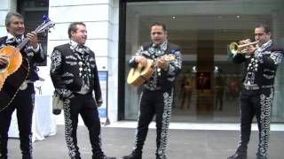 Popular Mexican song by Mariachi Band in Cleveland [upl. by Ahsinauj]