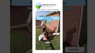 Landscape Renovation Time Lapse Before amp After [upl. by Zingale]