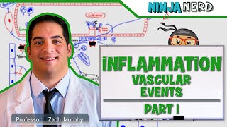 Immunology  Inflammation Vascular Events Part 1 [upl. by Perloff]