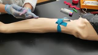 Phlebotomy Venipuncture Procedure [upl. by Tsew362]