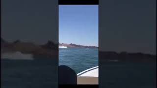 Boat Crash Lake Havasu City 2018 of Lickity Split [upl. by Osrick]