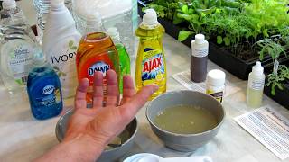 How to Make Soapy Water Garden Insect Sprays The Recipe Use amp Soap Selection  DIY Ep3 [upl. by Einnaej307]