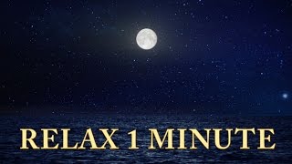 Relax 1 min  Sunset Ocean Moon  Relaxing Music [upl. by Pressman829]