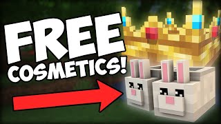 Custom COSMETICS For FREE In Minecraft [upl. by Neely]