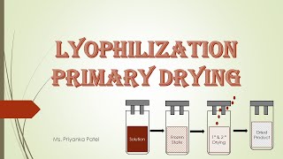 Lyophilization Primary Drying [upl. by Rolat431]