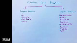 Canlıların Temel Bileşenleri İnorganik Bileşikler [upl. by Amieva]