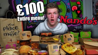 THE ENTIRE NANDOS MENU CHALLENGE  £100 WORTH OF NANDOS [upl. by Leisha]