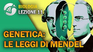 BIOLOGIA  Lezione 11  Genetica Le Leggi di Mendel [upl. by Akaenahs]