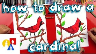 How To Draw A Cardinal [upl. by Kal867]