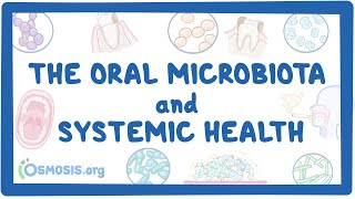 The Oral Microbiota and Systemic Health [upl. by Luba]