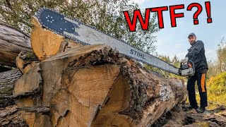 The Face in This Tree Stopped My Chainsaw – WTF [upl. by Berlauda724]