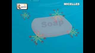 Soap Micelles Formation  Science [upl. by Stalder33]