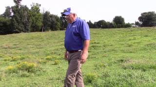 Dr JD Green Weed Control in Pastures [upl. by Eadnus474]