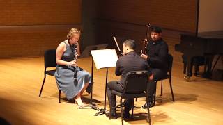 Francois Devienne Trio in Bb Op 61 no 5 1795 flute clarinet bassoon [upl. by Etam]