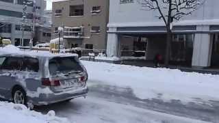 Winter Walk to Hokkaido University [upl. by Ellinger676]