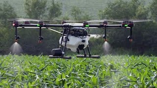 DJI MG1S  Agricultural Wonder Drone [upl. by Brighton]