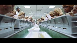 Gland Pharma Full Film [upl. by Schmitz]